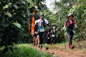 BIB: 
                            <button type="button" onclick="openModal(26431194)" class="btn btn-primary btn-sm float-right btn-popup" data-toggle="modal" data-target=".modal-high-quality">
                        <i class="fas fa-shopping-cart"></i> Add to Cart
                    </button>
                                            <button type="button" onclick="isThisMe(26431194, true)" class="btn btn-success btn-sm float-right btn-popup btn-isme hidden" data-toggle="tooltip" data-placement="bottom" title="นี่คือรูปของคุณใช่ไหม คลิกที่นี่เพื่อเอาเข้าอัลบั้ม">
                        <i class="fas fa-plus"></i> Add to album
                    </button>
                    <button type="button" onclick="isThisMe(26431194, false)" class="btn btn-warning btn-sm float-right btn-popup btn-isnotme hidden">
                        <i class="fas fa-ban"></i> Remove from album
                    </button>